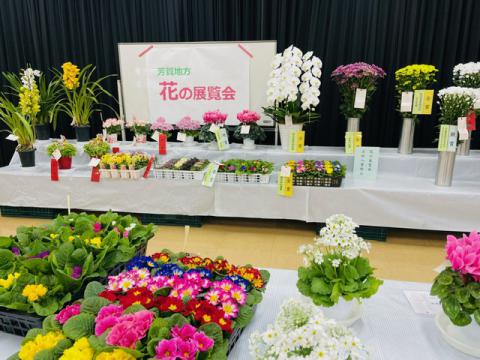 芳賀地方花の展覧会