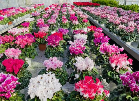 コーヒーブレイク071215-1