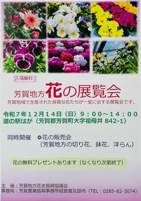 コーヒーブレイク071208-5-2