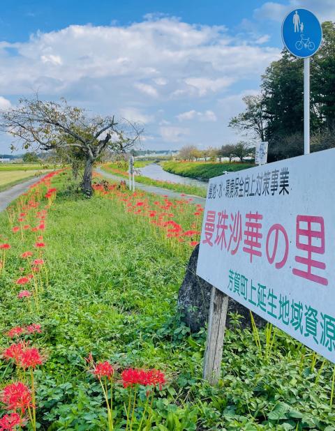 コーヒーブレイク070929-1