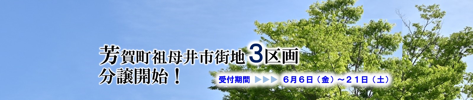祖母井市街地3区画分譲