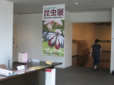 昆虫展2013の1