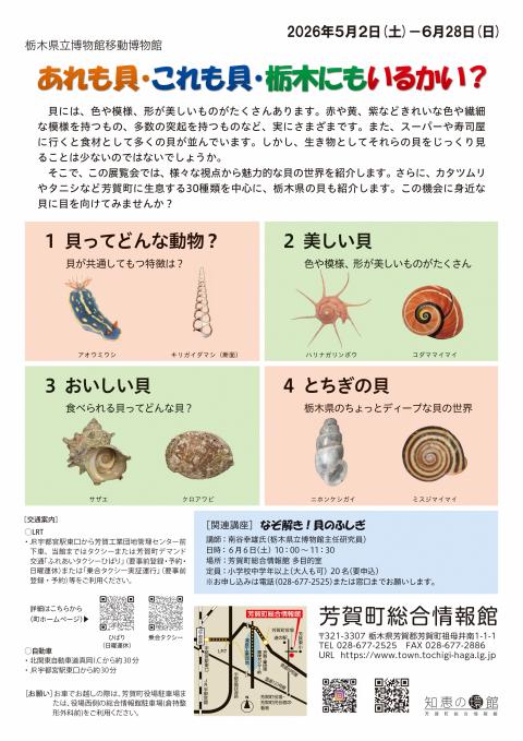 r8totigiknokai-2