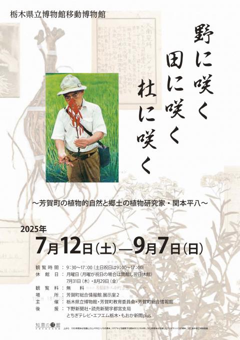R7植物1
