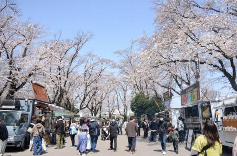 kankouhojyo4