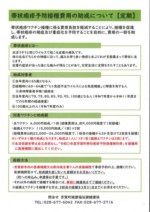 定期チラシ2