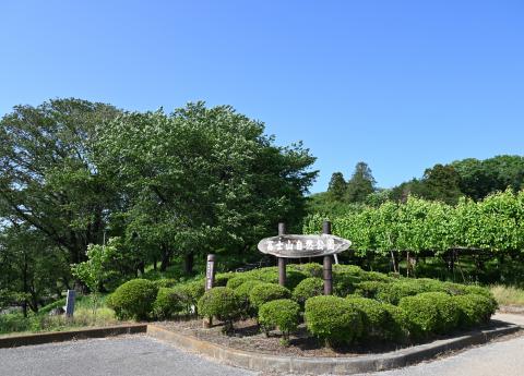 富士山自然公園