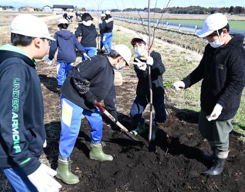 芳賀町町制施行70周年記念植樹