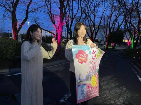 かしの森公園さくら祭り取材