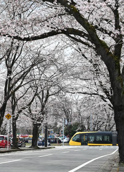 かしの森公園とLRT2