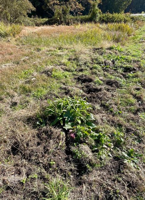 コーヒーブレイク071117-1