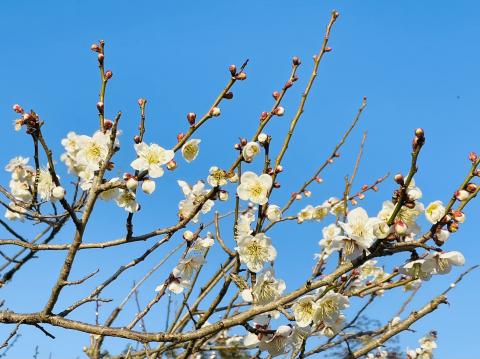 コーヒーブレイク080302-1