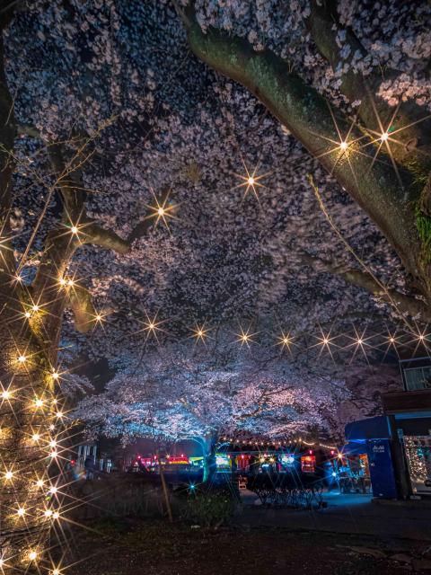 コーヒーブレイク080323-3-2