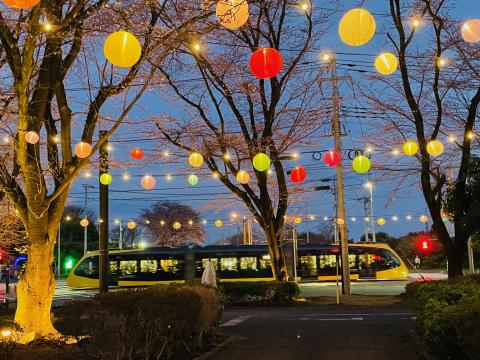 コーヒーブレイク080330-5-2