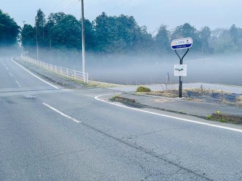 コーヒーブレイク080330-9