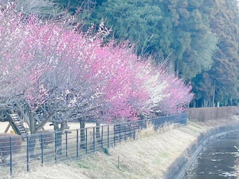 コーヒーブレイク080309-1