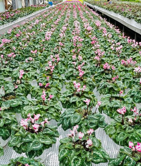 コーヒーブレイク070922-1-2