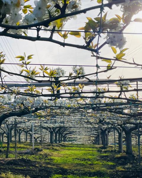 コーヒーブレイク080413-10