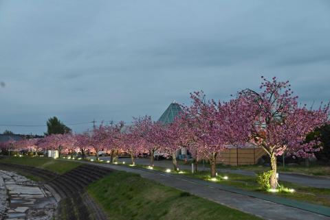 コーヒーブレイク080420-5