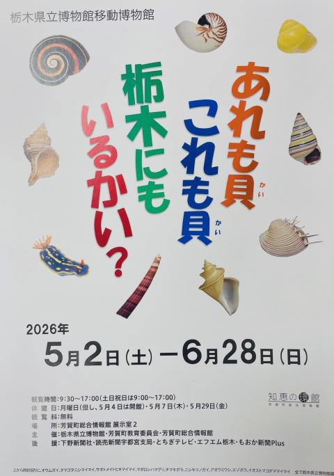 コーヒーブレイク080427-6