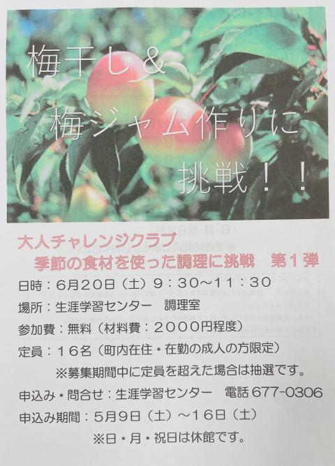 コーヒーブレイク080504-5