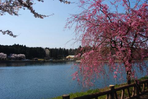 唐桶宗山公園