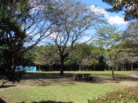 かしの森公園運動場