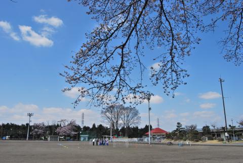 水橋運動場